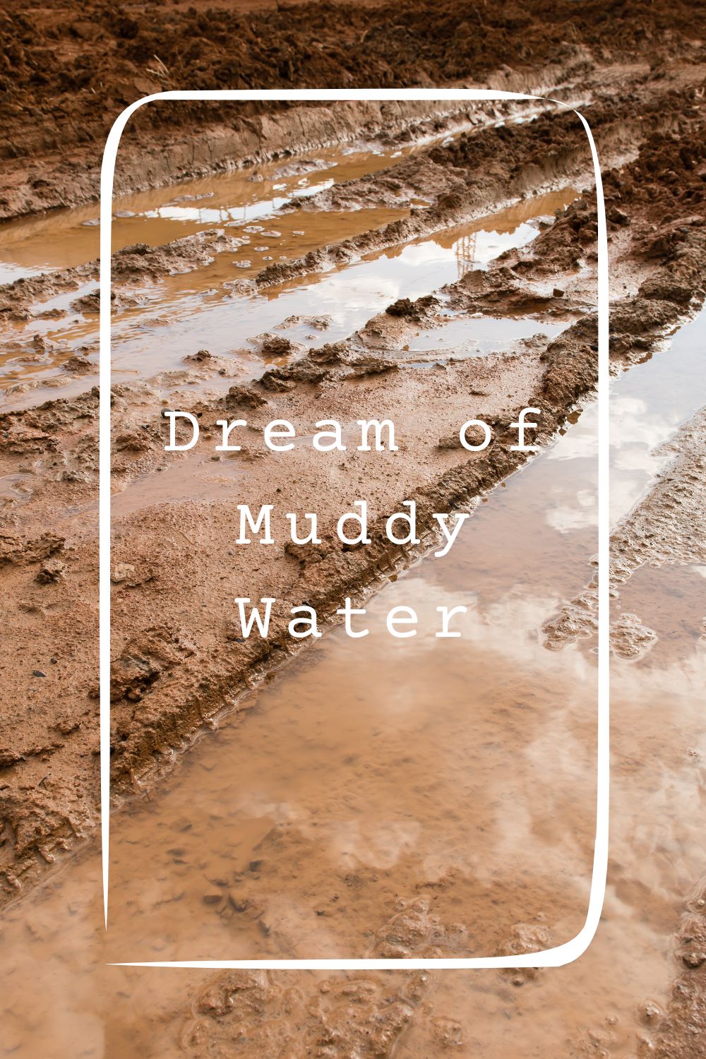 Dream of Muddy Water1
