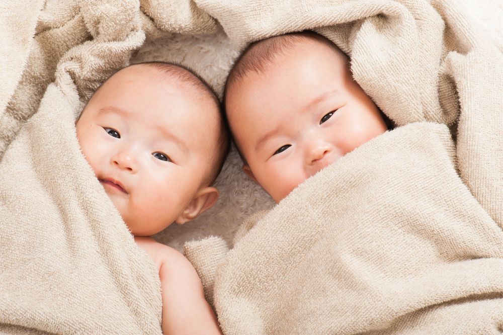 Dream of Giving Birth To Twins 2
