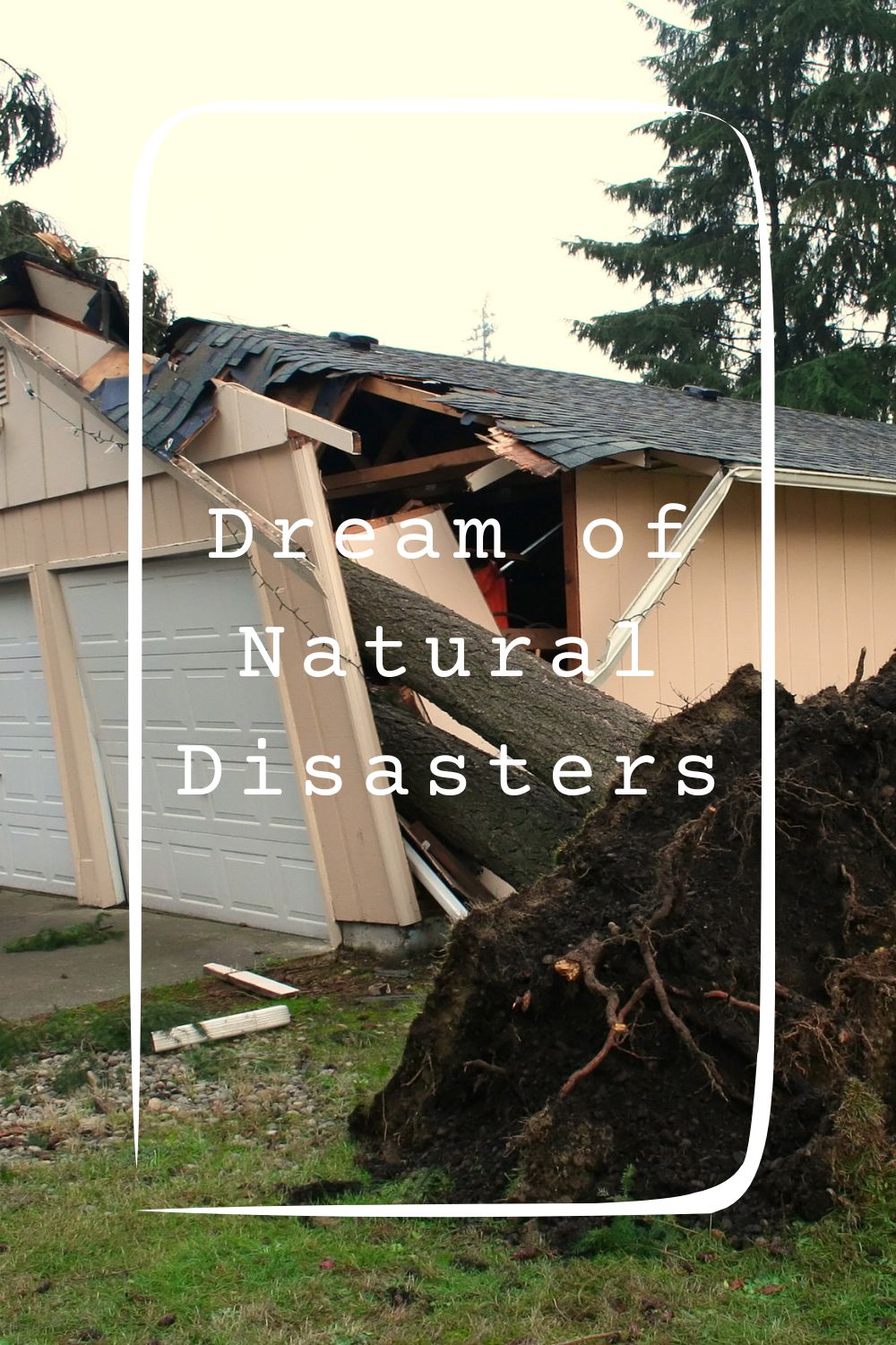 Dream of Natural Disasters1
