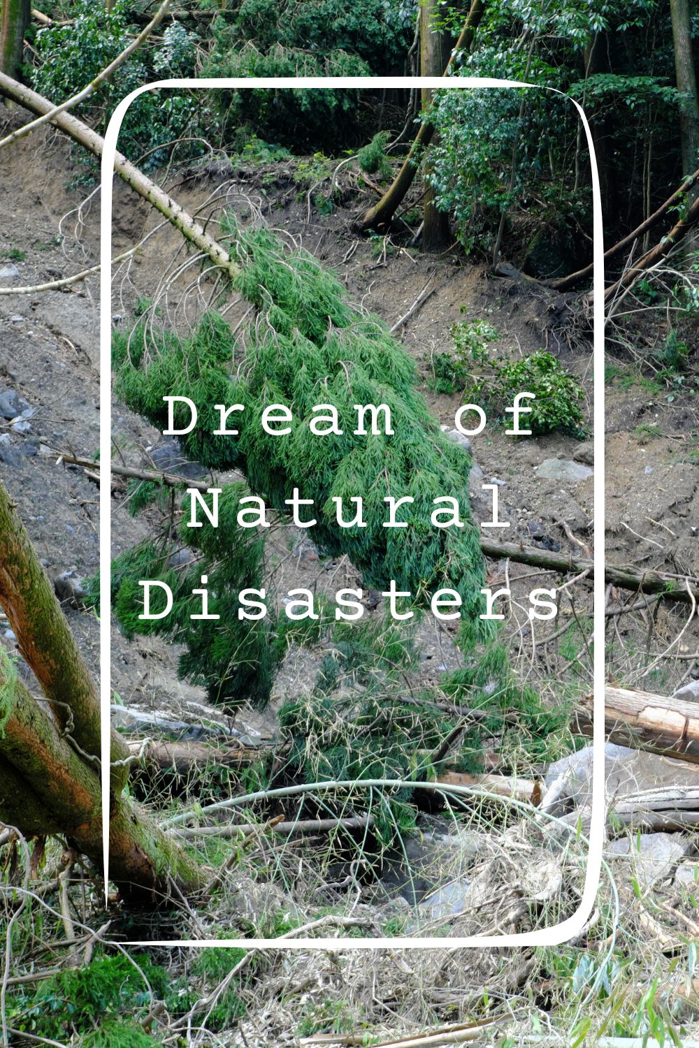 Dream of Natural Disasters4