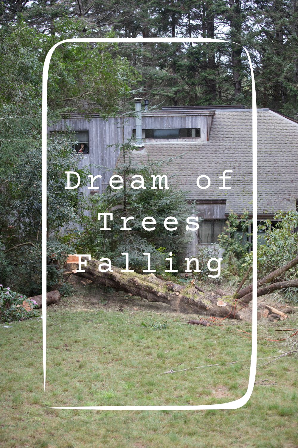 Dream of Trees Falling1
