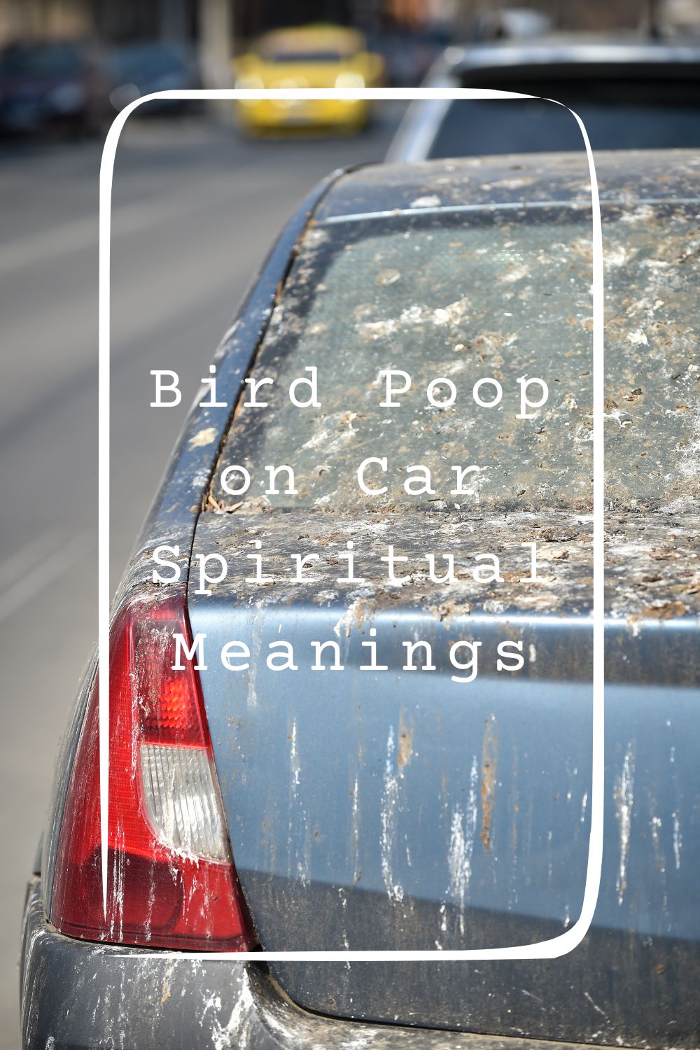 Bird Poop on Car Spiritual Meanings 2